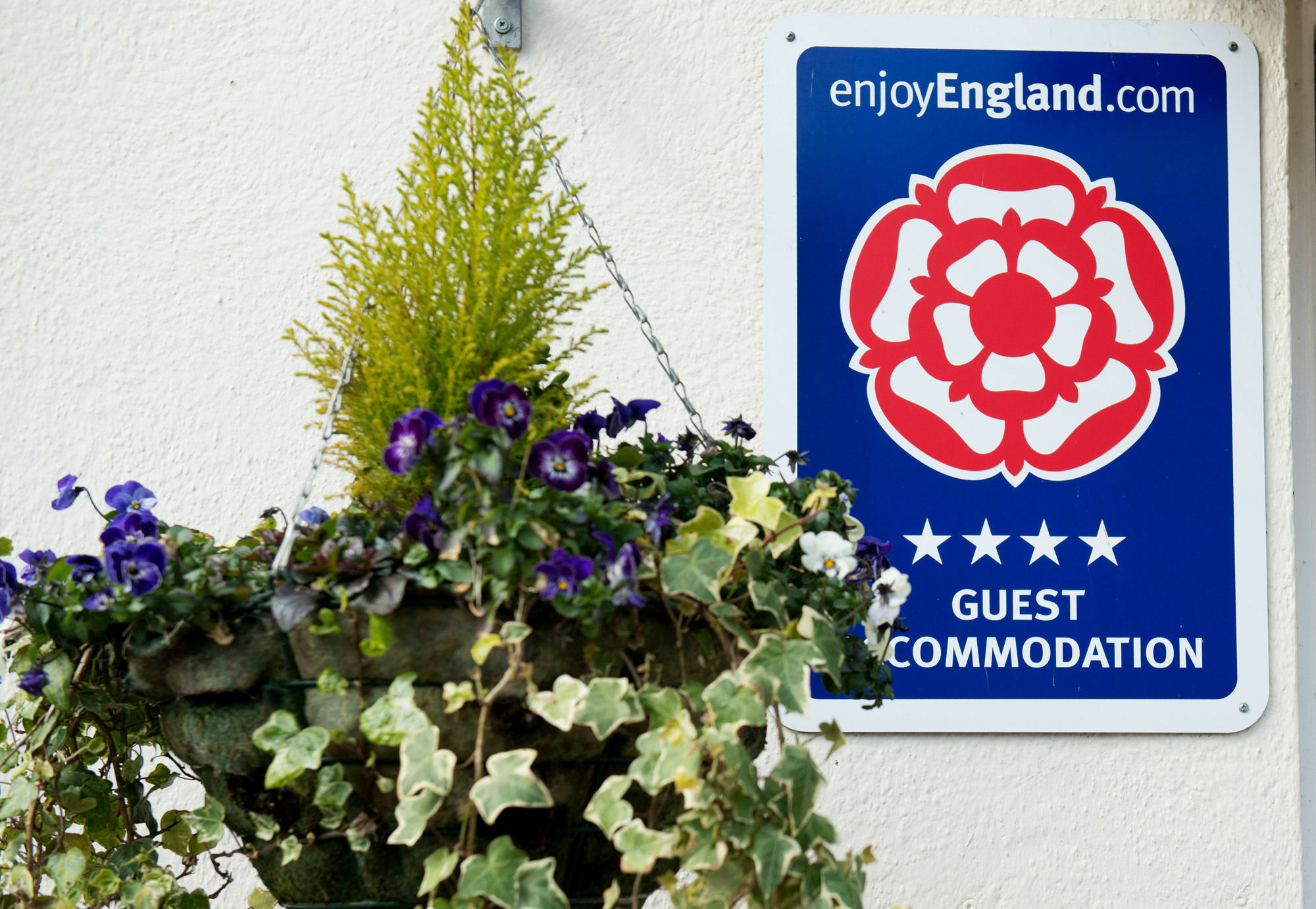 Blue Waters Lodge Paignton Exterior foto